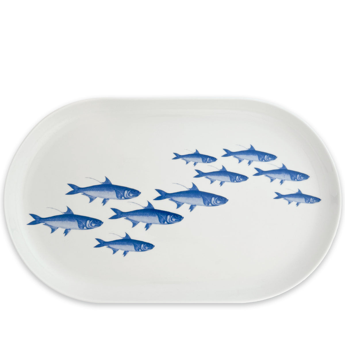 Caskata&#39;s School of Fish Large Coupe Oval Platter is a white dish made of high-fired porcelain, showcasing blue fish swimming in a diagonal pattern.